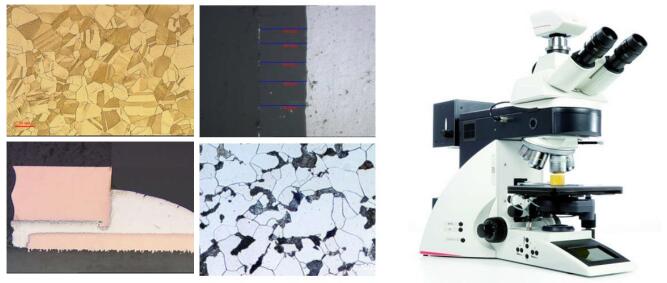 QQ截图20250223165040